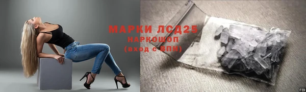 гидра Алексин