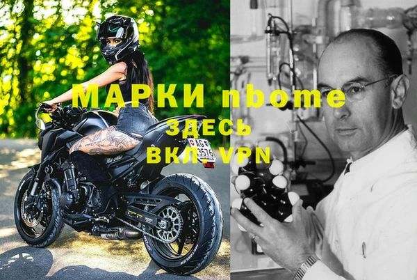 гидра Алексин