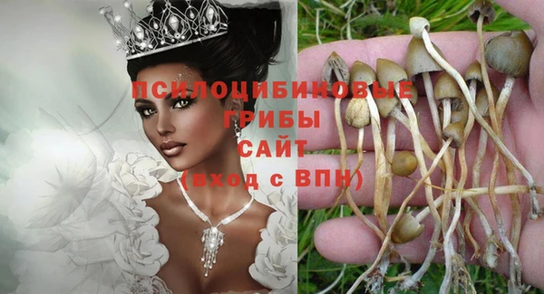 гидра Алексин