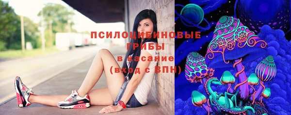 амф Нея